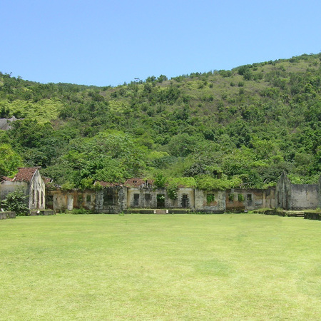 conservation_pixel_restauracao_ecologica_parque_estadual_ilha_anchieta_ubatuba